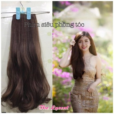 PHÍM PHỒNG TÓC GIẢ