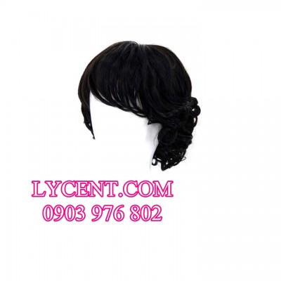 TÓC GIẢ TRUNG NIÊN